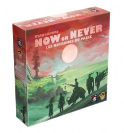 JEU NOW OR NEVER - LES ROYAUMES DU PASSÉ (FR)